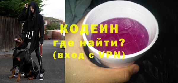 индика Семёнов
