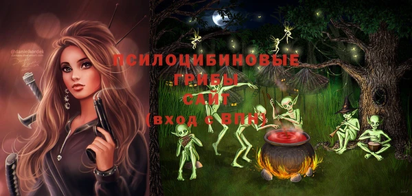 прущие грибы Зеленокумск