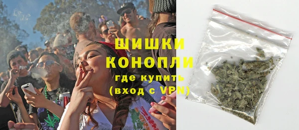 прущие грибы Зеленокумск